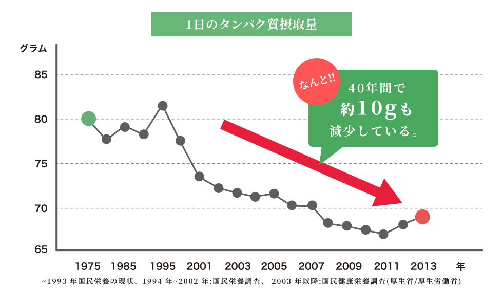 1日のタンパク質摂取量