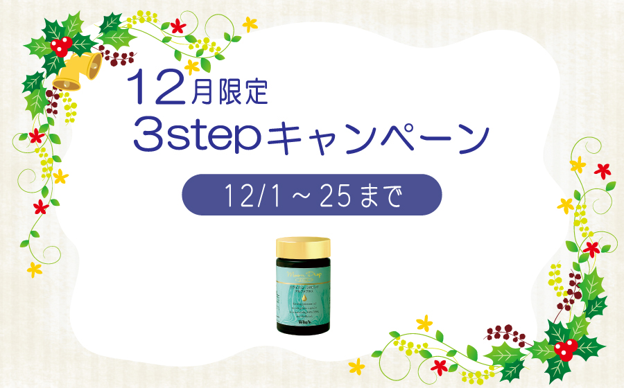 2025年12月キャンペーン