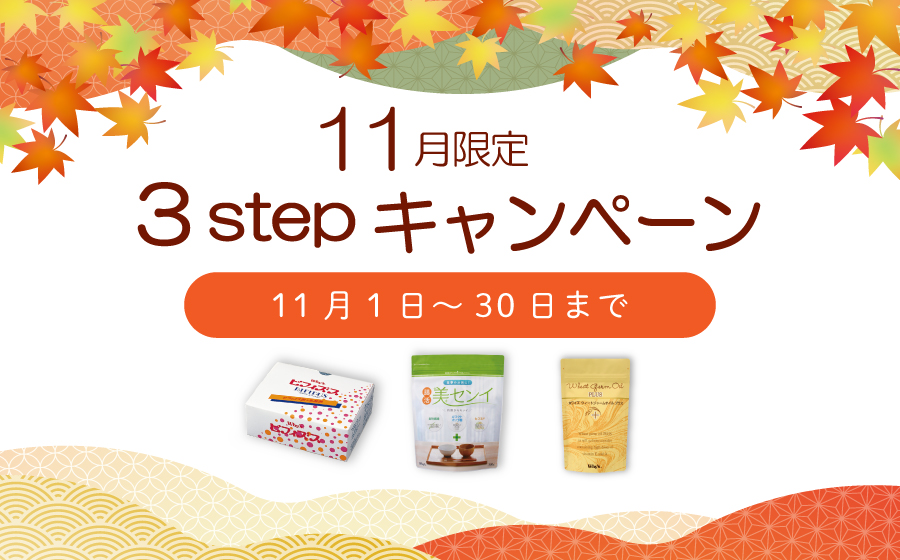 11月3stepキャンペーン
