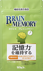 ブレインメモリー
